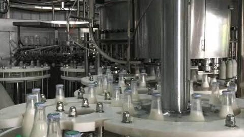 小型食品速冻生产线：揭秘其价格构成与选购要点**