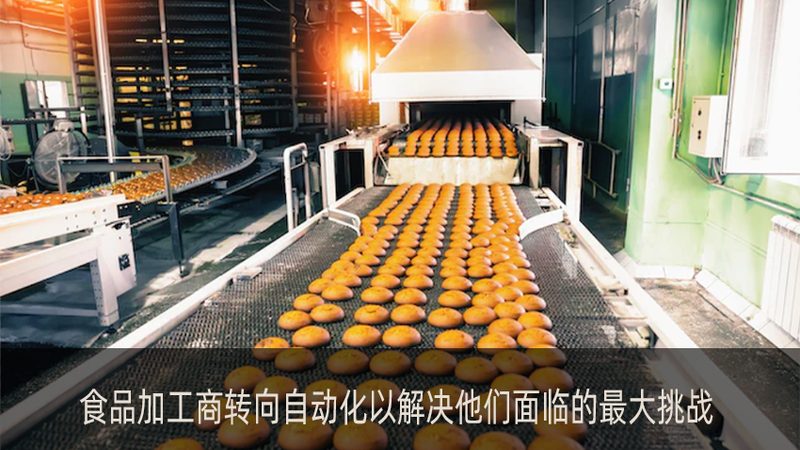 油炸机尺寸分类：如何根据需求选择合适的机型